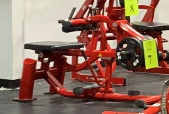 LIFE FITNESS CALF RAISE MODEL SPLCALF WITH (3) PLATES