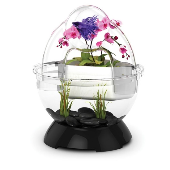 BUBBLE TUNNEL KIT, ASSORTED COLORS