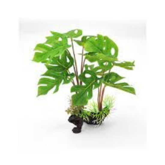 SPLIT LEAF, ITEM 60394300
