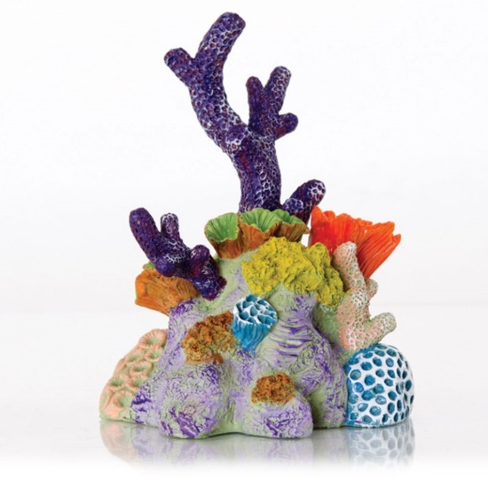PACIFIC REEF MINI, ITEM 60354700