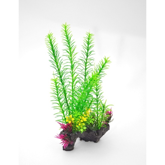 FOXTAIL, ITEM 60392900