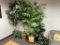 LOT CONSISTING OF ASSORTED SIZED FAUX PLANTS