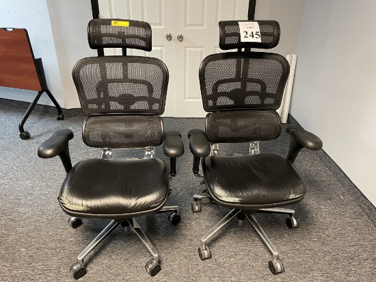 ERGOHUMAN ELITE HIGH BACK CHAIR