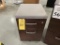 LOT CONSISTING OF WOODEN FILE CABINETS