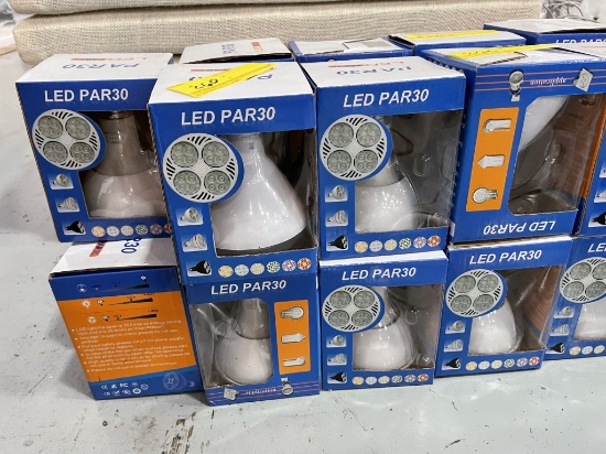 PAR30 LED LIGHT BULBS