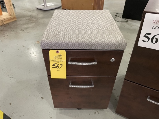 LOT CONSISTING OF WOODEN FILE CABINETS