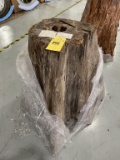 LARGE CYPRESS STUMP