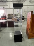 LOCKING GLASS CABINET INCLUDES LIGHT