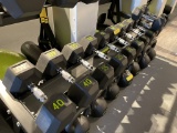 DUMBBELLS BY PERFORM BETTER