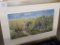 LIMITED EDITION FRAMED PRINTS