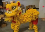 DECORATIVE CHINESE (2) PERSON DRAGON COSTUME