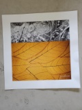 PHOTOGRAPHY PRINTS