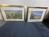 LIMITED EDITION FRAMED PRINTS