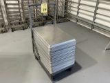 STAINLESS STEEL BAKING TRAYS