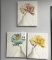 LOT CONSISTING OF FLORAL CANVAS PRINTS
