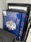 LOT CONSISTING OF MEDICAL FRAMED POSTERS