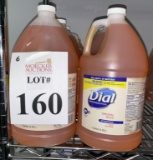 DIAL PROFESSIONAL ANTIMICROBIAL HAND SOAP