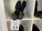 PAIRS OF MEN'S SIZE 10 SHIMANO PEDALING DYNAMICS