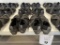 PAIRS OF WOMAN'S SIZE 10 SHIMANO PEDALING DYNAMICS