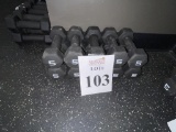 RUBBER COATED HEXAGON 5 LBS. DUMBBELLS (5 PAIRS)