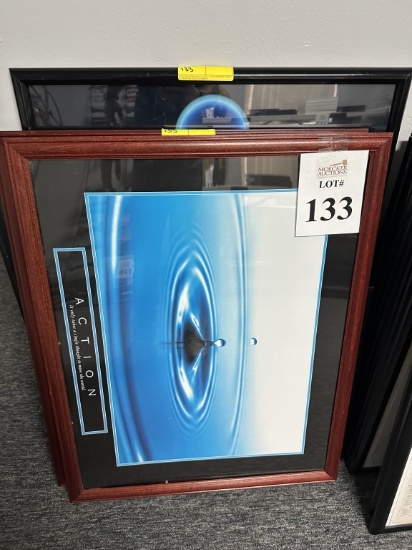 LOT CONSISTING OF MEDICAL FRAMED PRINTS