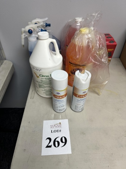 LOT CONSISTING OF CLEANING  SUPPLIES