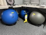 PROFESSIONAL EXERCISE BALLS WITH STAND