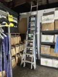 VARIOUS SIZE LADDERS