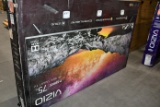 VIZIO P SERIES 75