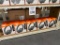 SHARPER IMAGE WIRELESS HEADPHONES (NEW) (YOUR BID X QTY = TOTAL $)