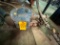 NEMA PREMIUM WEG W21 EXPLOSION PROOF MOTOR