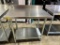 STAINLESS STEEL PREP TABLE (36