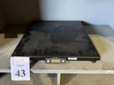 FAIRBANKS SCALES ULTEGRA FLAT TOP PARCEL  SHIPPING