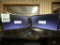 DELL 22
