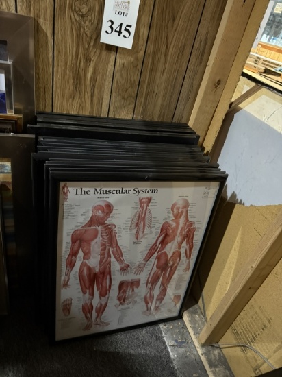 LOT CONSISTING OF ASSORTED SIZE PICTURE FRAMES