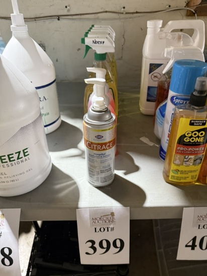 LOT CONSISTING OF ASSORTED DISINFECTANTS