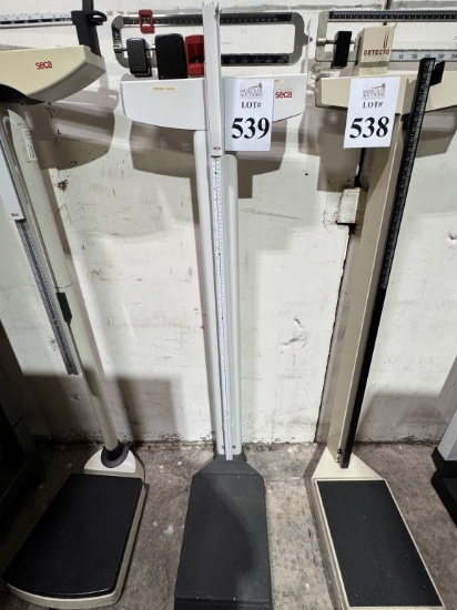 CINTA FLOOR SCALE