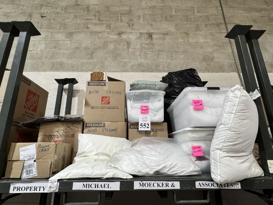 LOT CONSISTING OF ASSORTED PILLOWS, BLANKETS AND PILLOW CASES