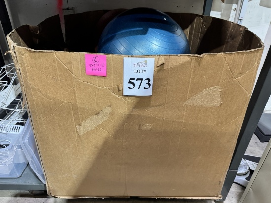 LOT CONSISTING OF (6) ASSORTED EXERCISE BALLS