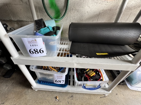 LOT CONSISTING OF LEG WEIGHTS, STRAPS AND YOGA MAT