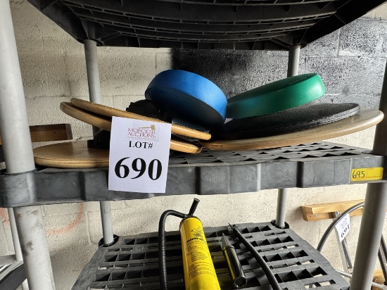LOT CONSISTING OF ASSORTED BALANCE BOARDS