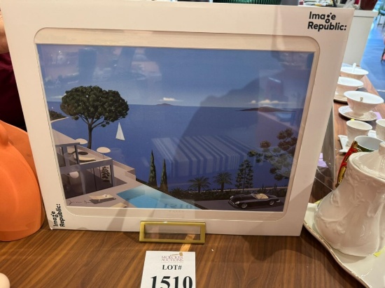 IMAGE REPUBLIC JASON BROOKS PRINT
