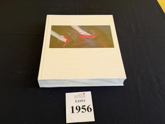 FIRST MONOGRAPH BOOK BY STEVEN KLEIN