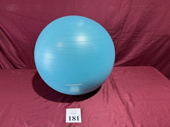 RETROSPEC VERSA BALL