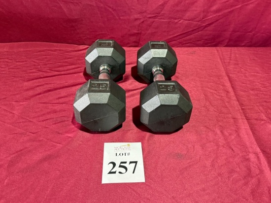 POWER SYSTEMS 20 LB. DUMBBELLS