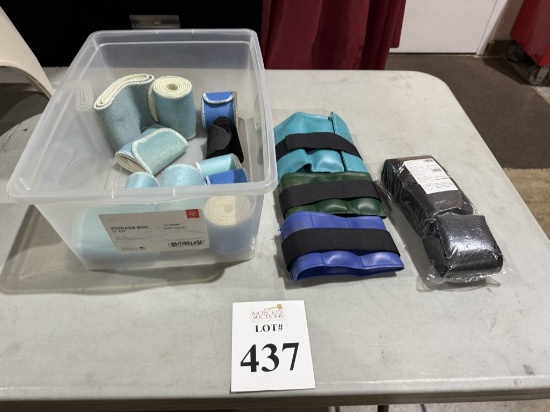 LOT CONSISTING OF ASSORTED ANKLE WEIGHTS