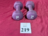 POWER SYSTEMS 12 LB. DUMBBELLS
