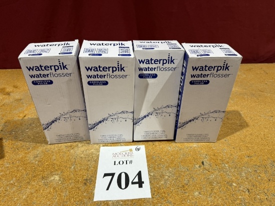 WATERPIK WATER FLOSSER CORDLESS PLUS