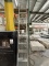 WERNER 20' EXTENSION LADDER