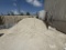 LARGE LOT CONSISTING OF ASSORTED SEA SHELLS